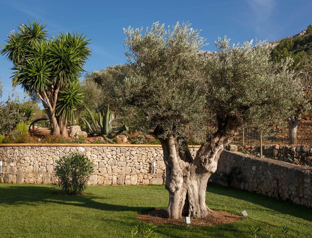 Farm stay Agroturismo S'arbocar