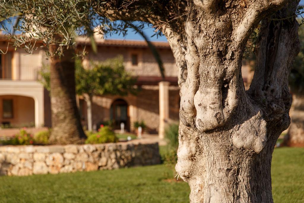 Agroturismo S'arbocar Sant Llorenc Des Cardassar