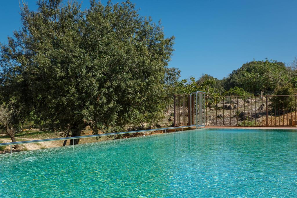 Farm stay Agroturismo S'arbocar